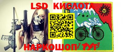 jwh Кингисепп