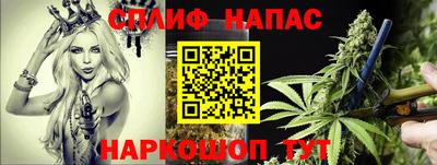 jwh Кингисепп