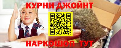крисы Кинель