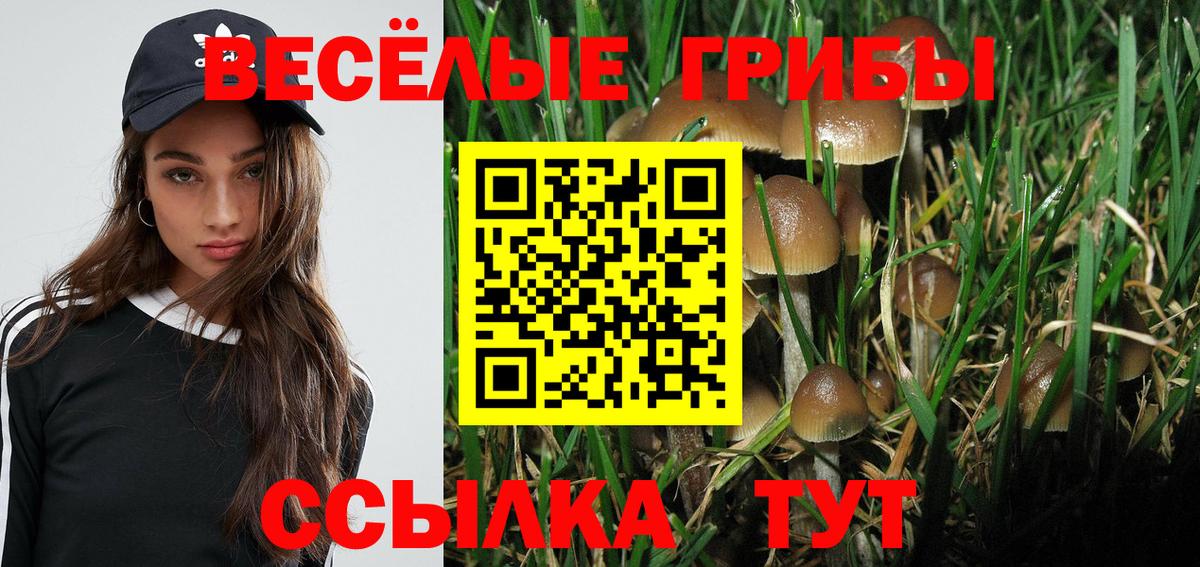 Галлюциногенные грибы MAGIC MUSHROOMS  Вход с VPN  Королёв 